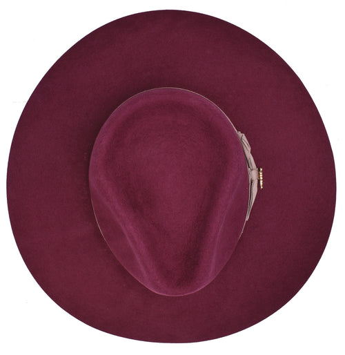Fedora CHELSEA (WINE)